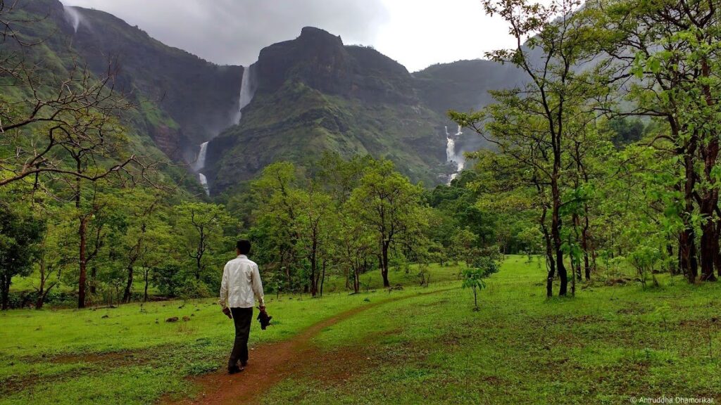 Aadrai Jungle trek