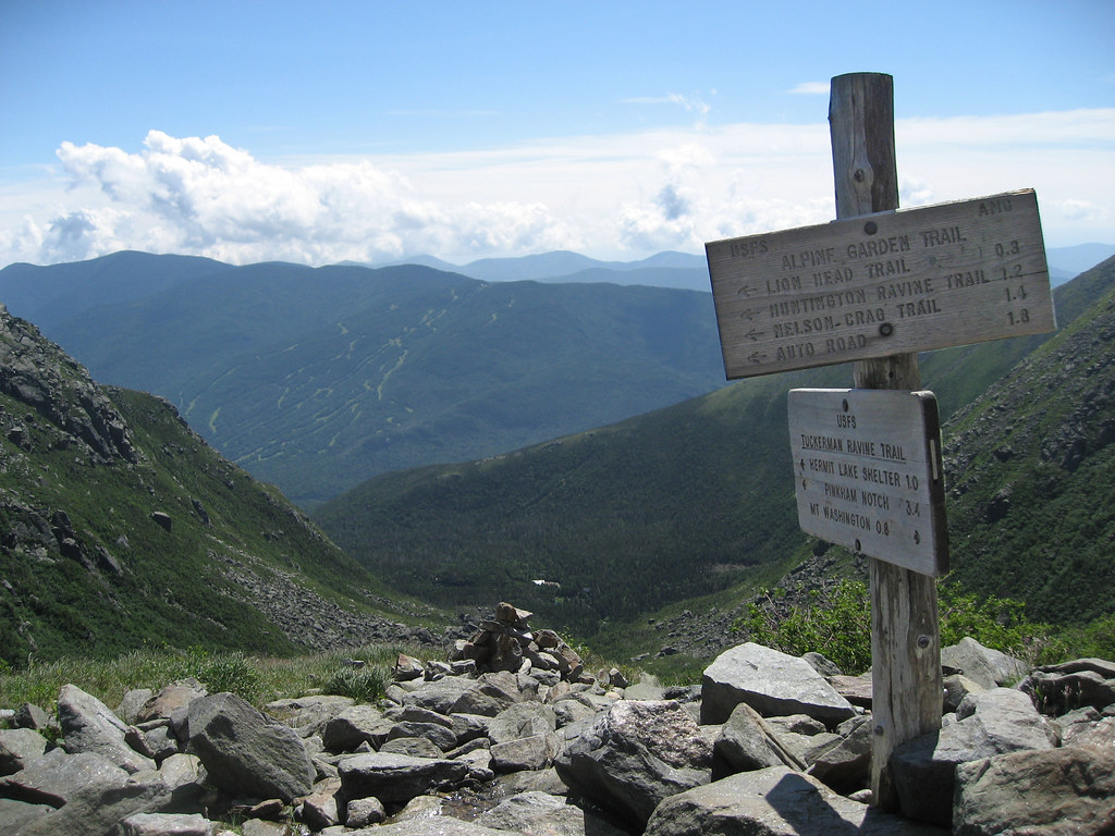 Lion’s Head Trail