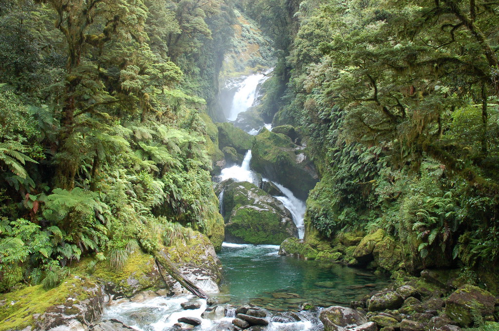 view of Milford Track