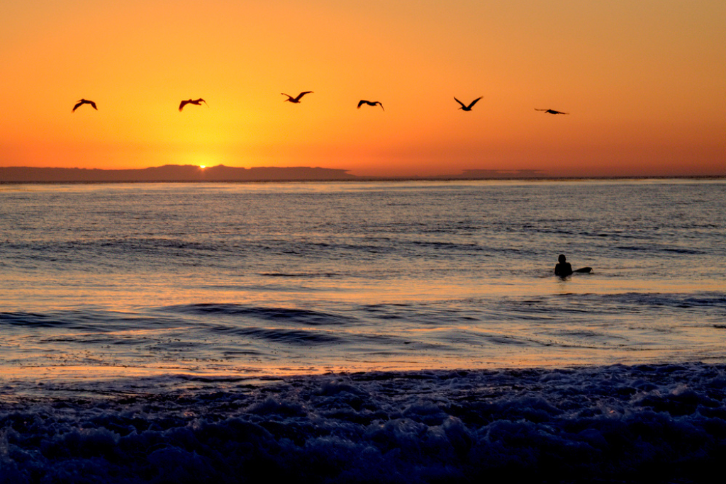 San Clemente State Beach: A Relaxing Getaway