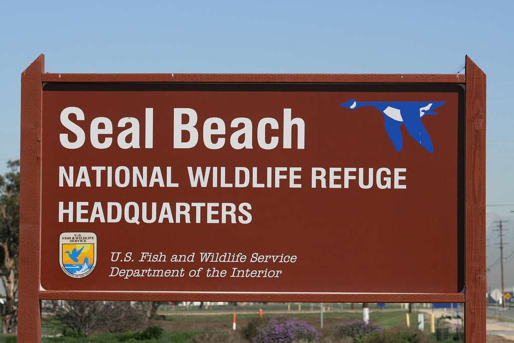 Seal Beach: A Quiet Coastal Retreat 