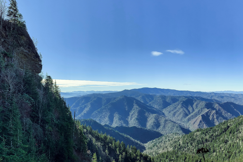 highest point in smoky mts