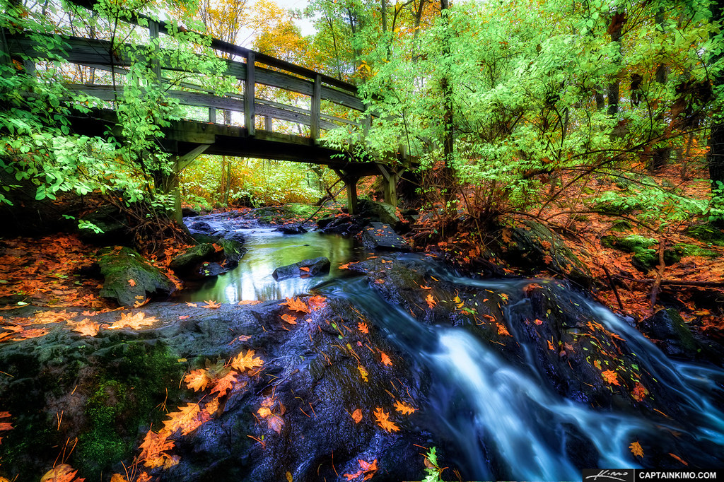  The Jewell Trail bridge