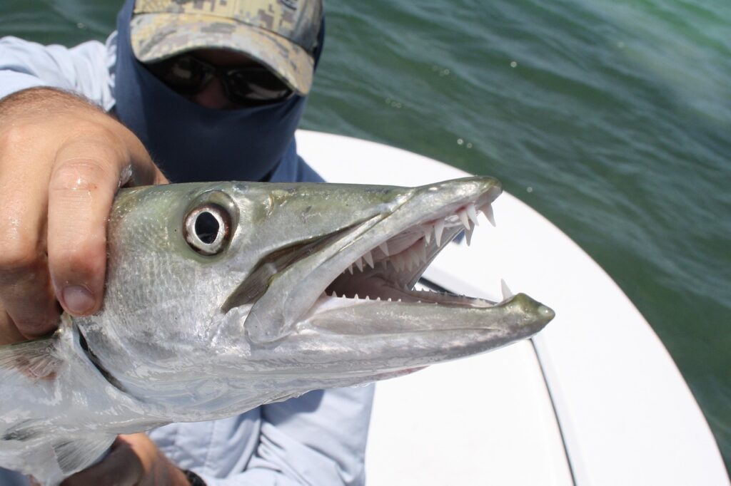 Fishing in Key West