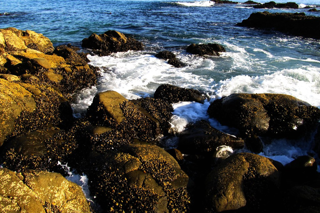 Laguna Beach: Art and Nature Combined