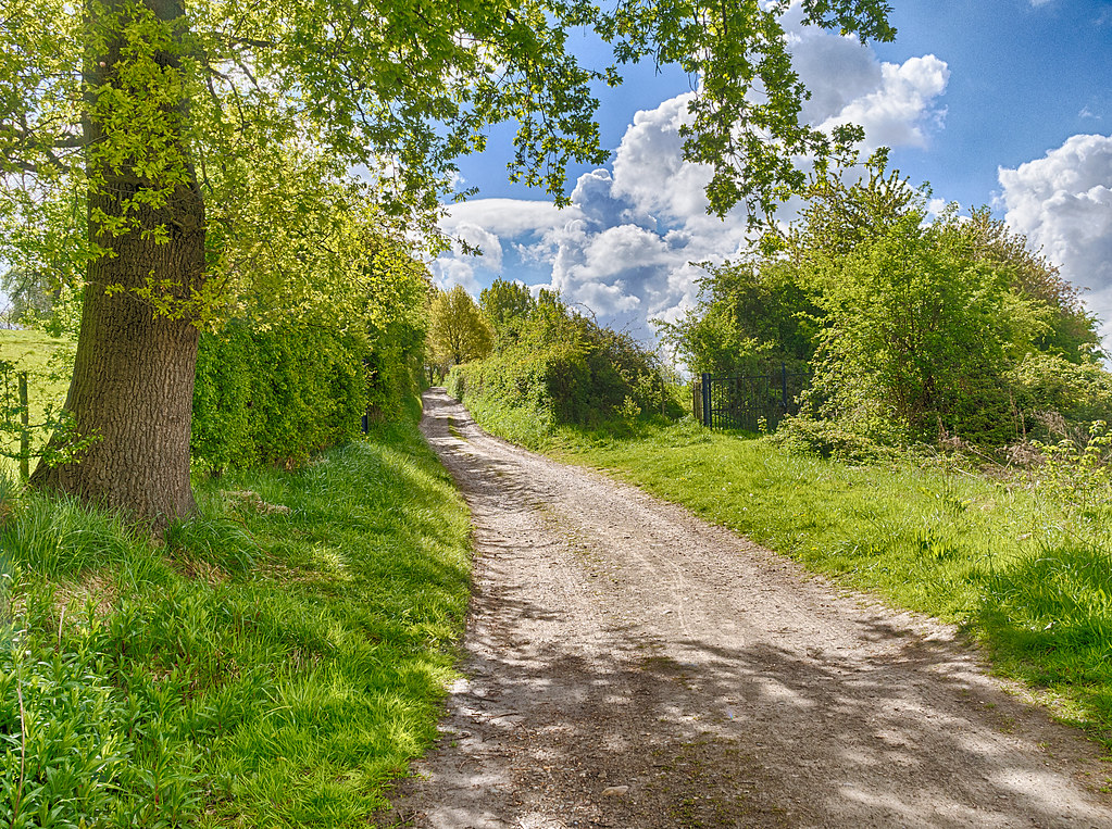 Kathotiya Hiking Trails