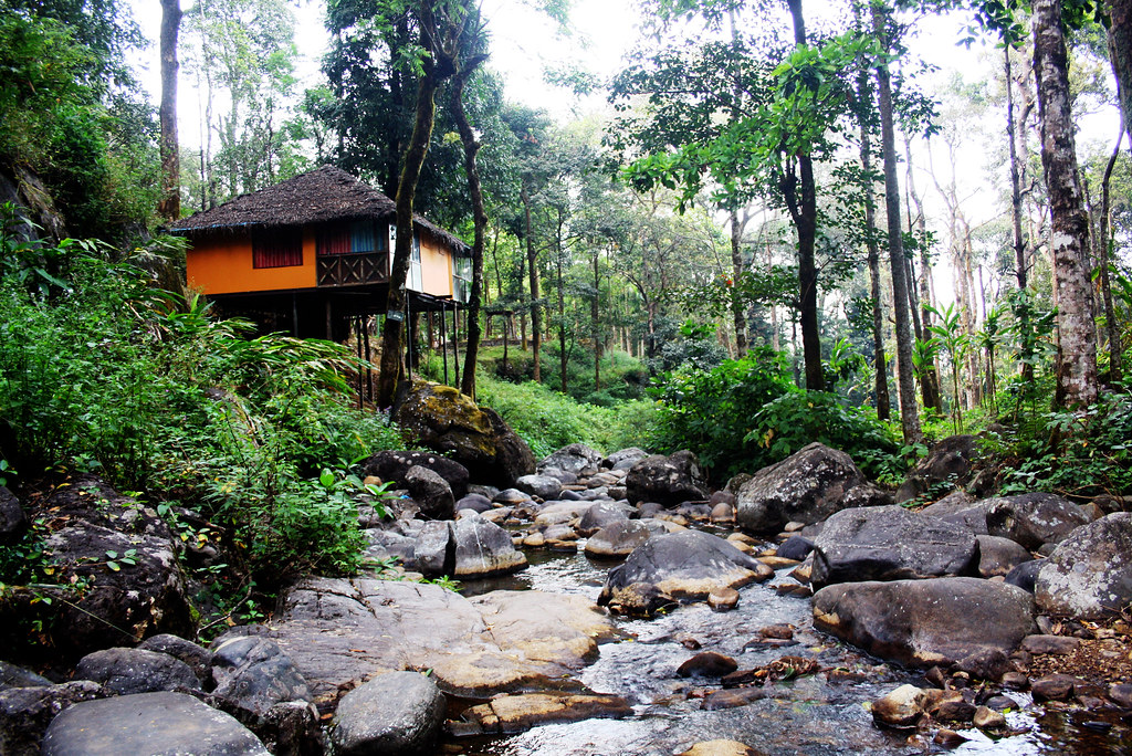 Treehouse Stay