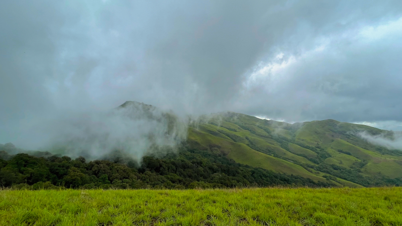 Netravathi Peak Trek Guide