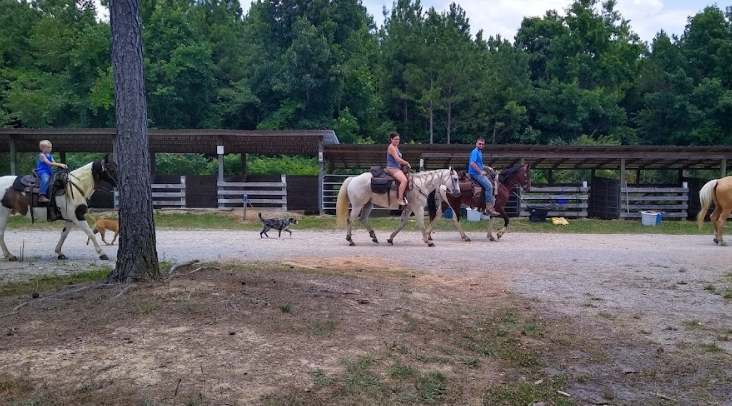 horse ride