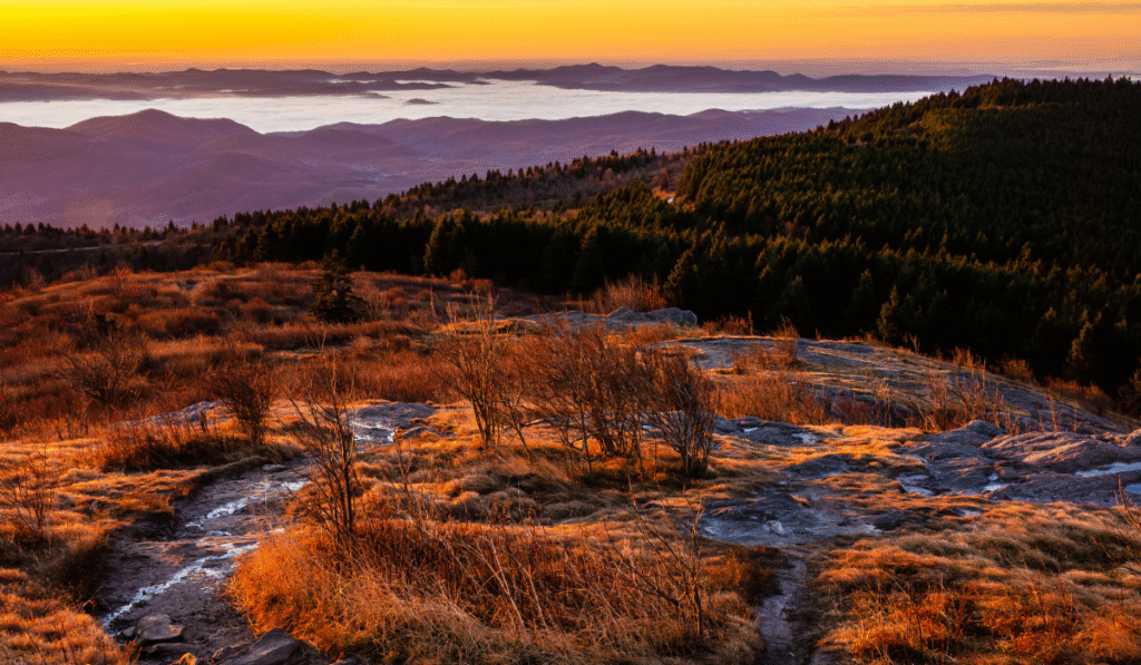 Art Loeb Trail
