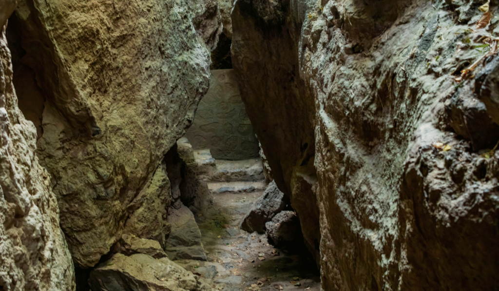 Eco Cave Gardens