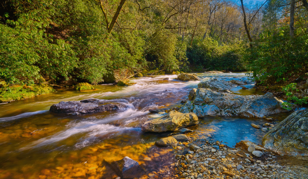 North Mills River