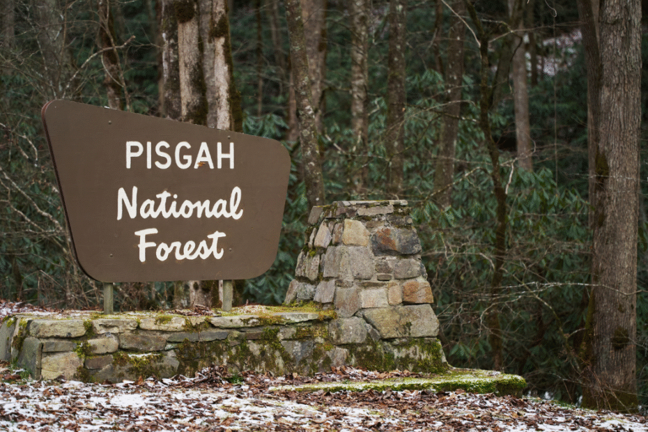Things to Do in Pisgah National Forest